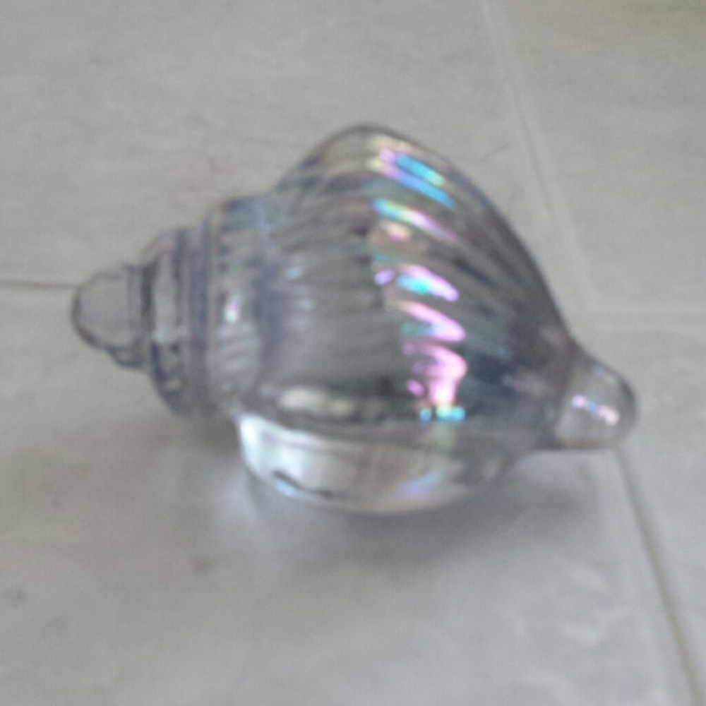 Iridescent Shell Decor - Picture 3 of 9
